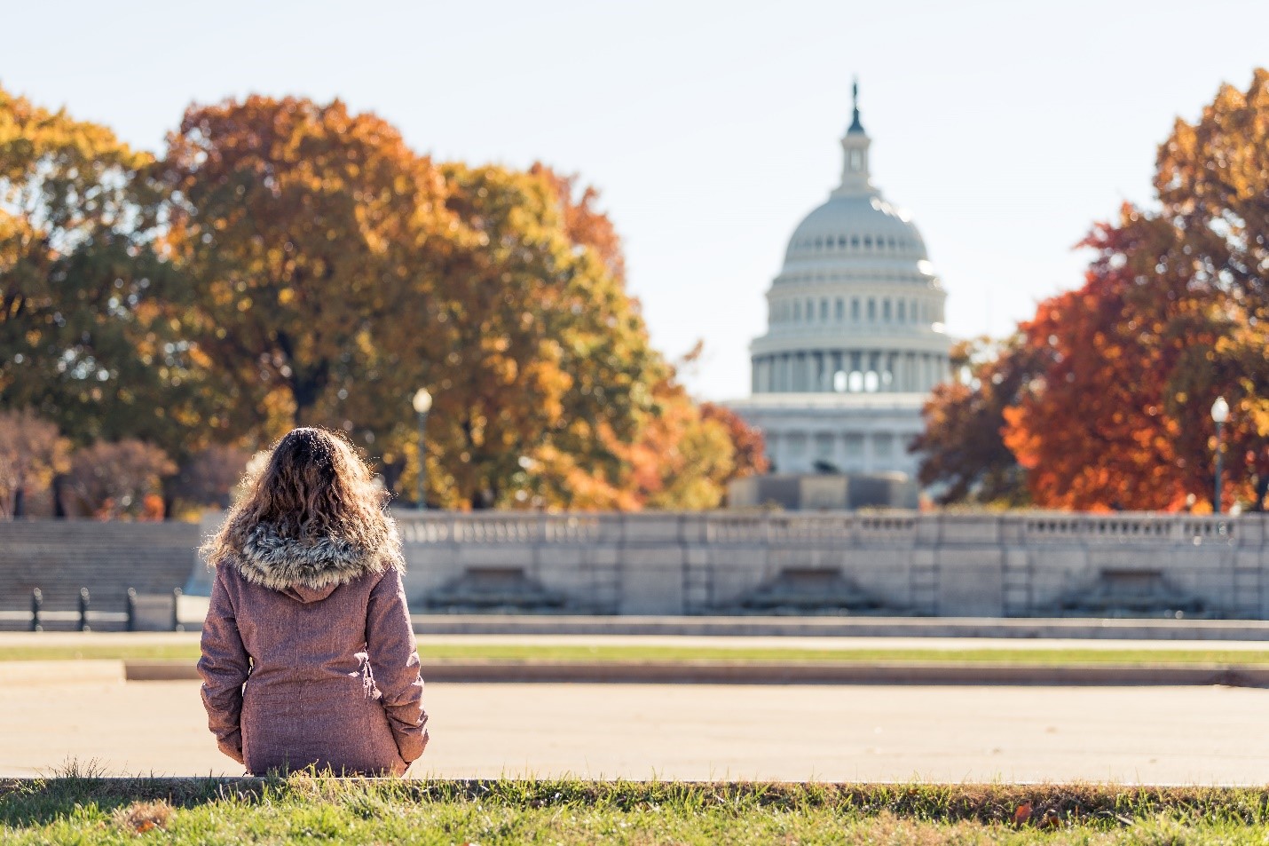 U.S. Capitol in Washington DC